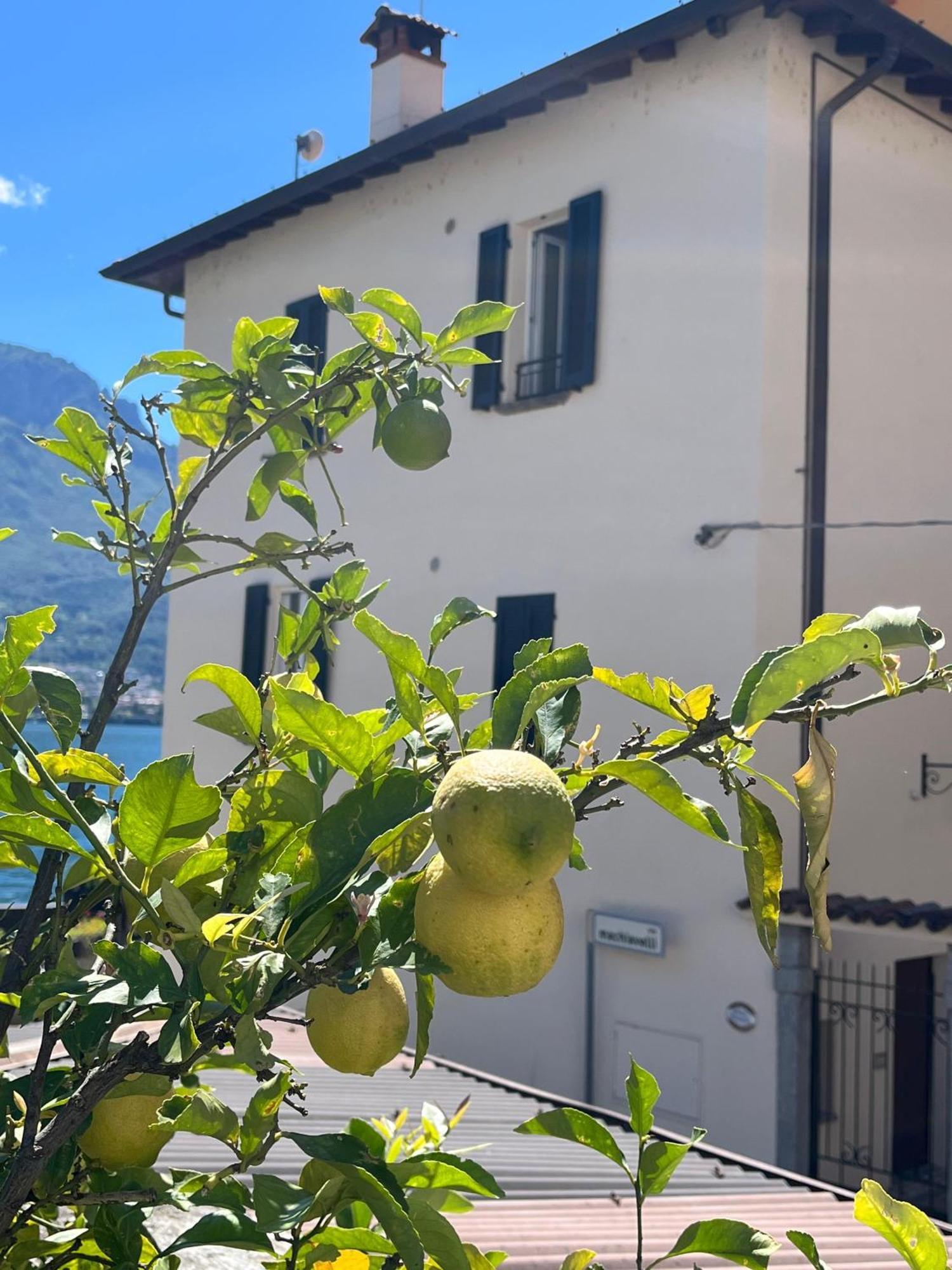 Domus Graziana - Lake Front Oliveto Lario المظهر الخارجي الصورة